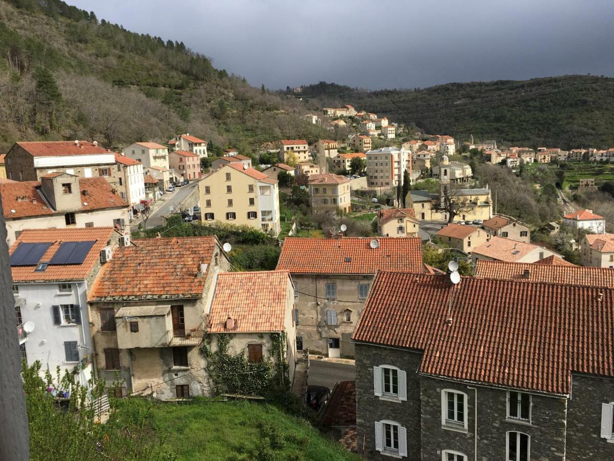 Maison Entiere Tout Equipe 4 Chambre Possibilite De 10 Couchage Venaco Centre Corse 外观 照片